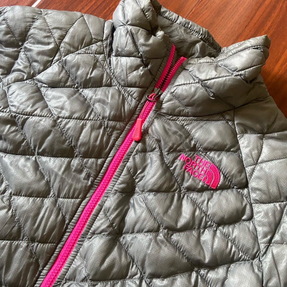 The North Face Silver Micro Puff Jacket